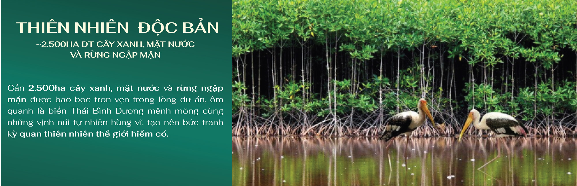 thien-nhien-doc-ban thien-nhien-doc-ban